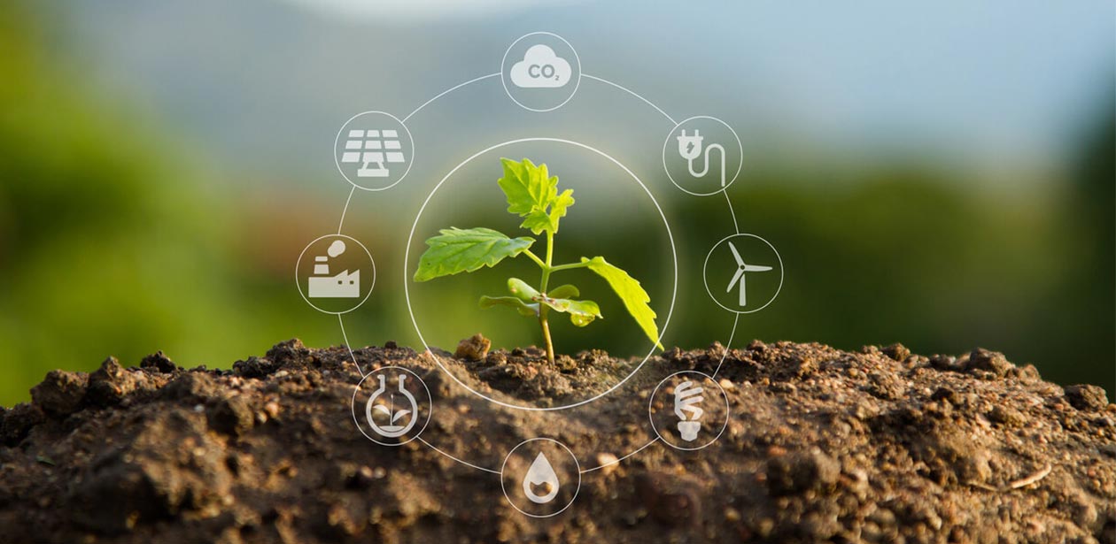 Κυκλική Οικονομία και Πρωτογενής Τομέας- Προσαρμογές στην Διαχείρηση των Οικοσυστημάτων και των Προστατευόμενων Περιοχών στις διαδικασίες Μετάβασης