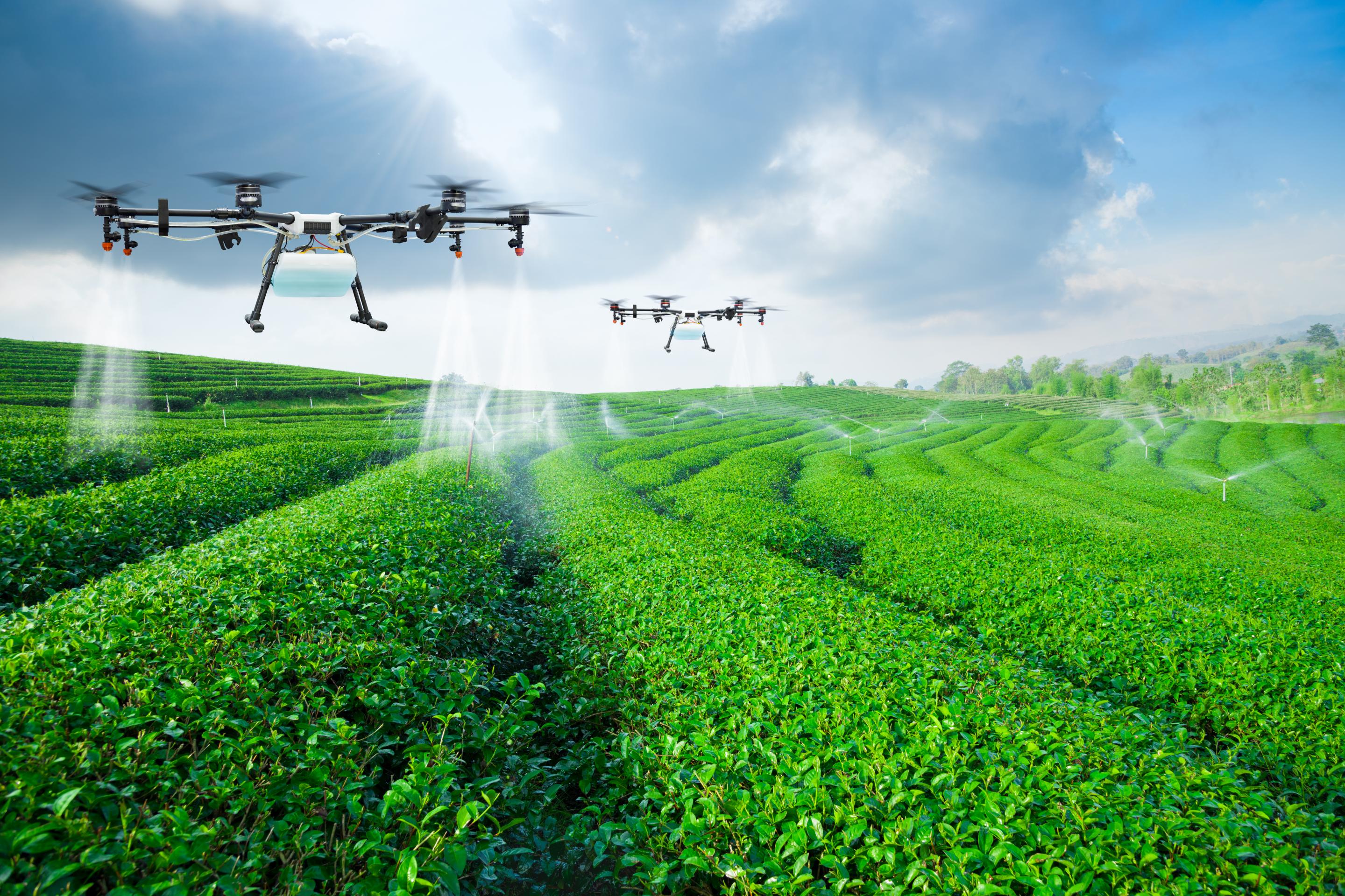 Drones και Τηλεπισκόπηση στην Γεωργία (τμήμα 02)
